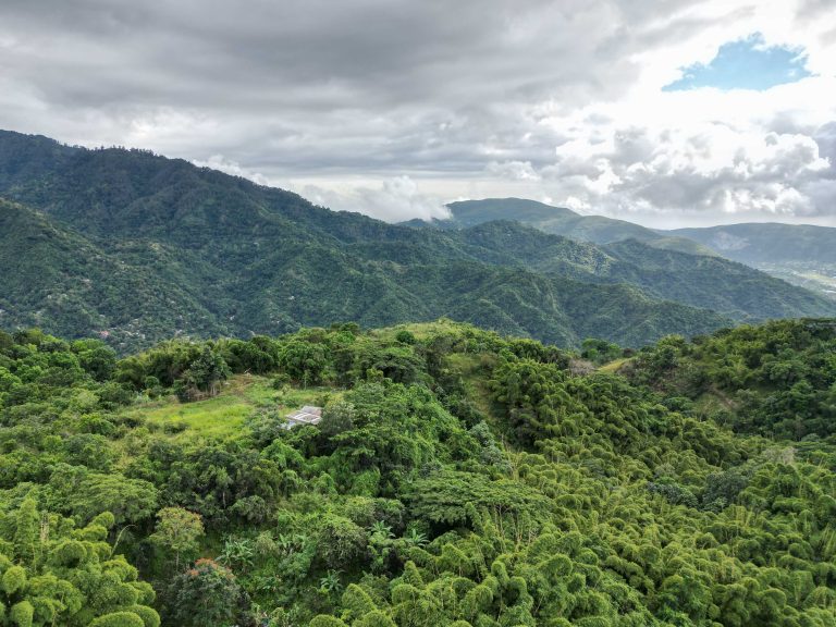 Blue Mountains vista