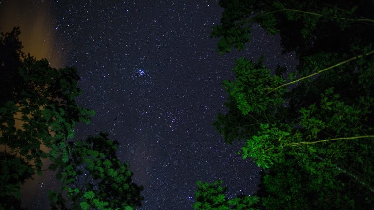 Tobago Night Sky